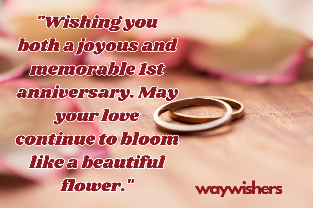1st Wedding Anniversary Wishes for Sister and Jiju