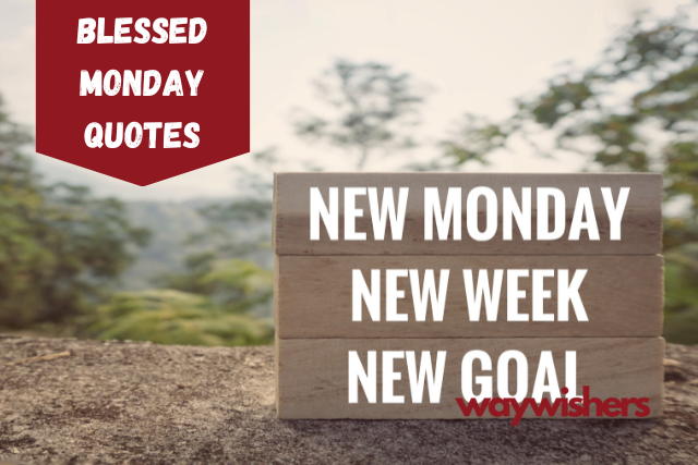 95+ Blessed Monday Quotes
