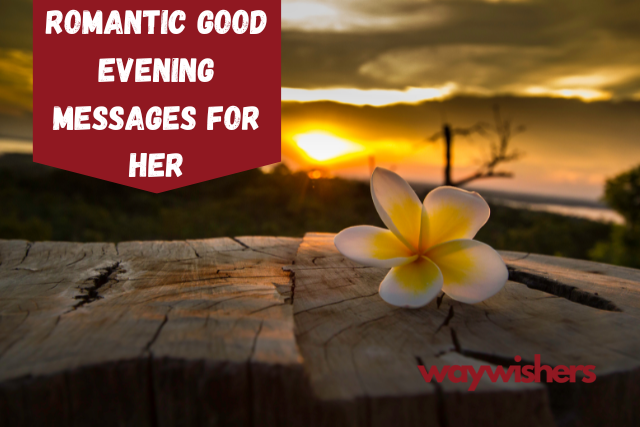 150+ Romantic Good Evening Messages For Her
