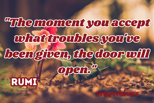 Rumi quotes on success