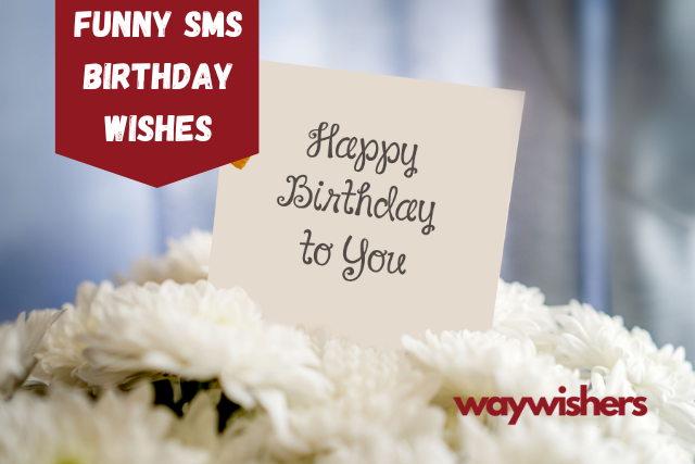 Funny SMS Birthday Wishes