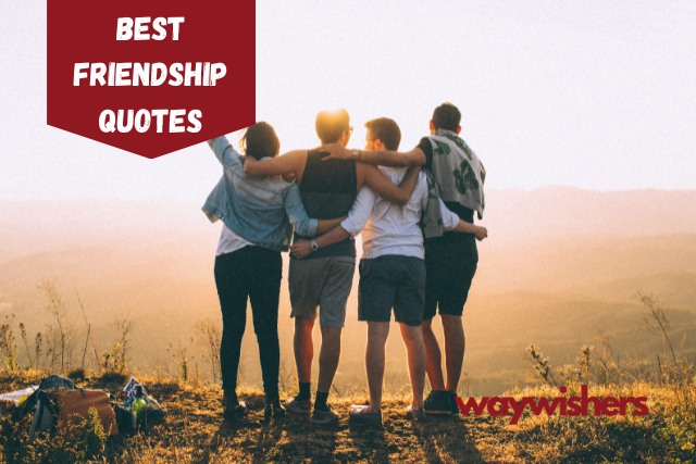 275+ Best Friendship Quotes | Embrace Connection