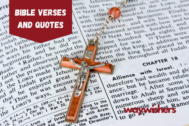 215+ Bible Verses And Quotes | Enlightening Wisdom