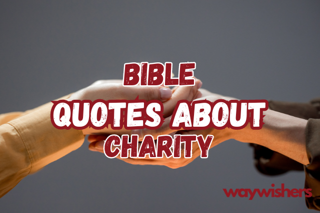 Bible Quotes About Charity