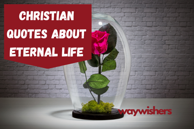 120 Christian Quotes About Eternal Life