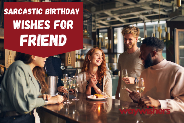 Sarcastic Birthday Wishes For Friend