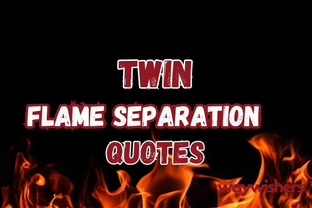 Twin Flame Separation Quotes