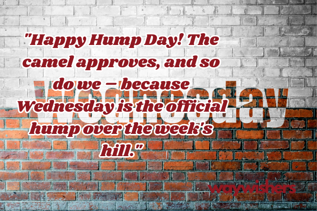 Wednesday Funny Quotes Hump Day