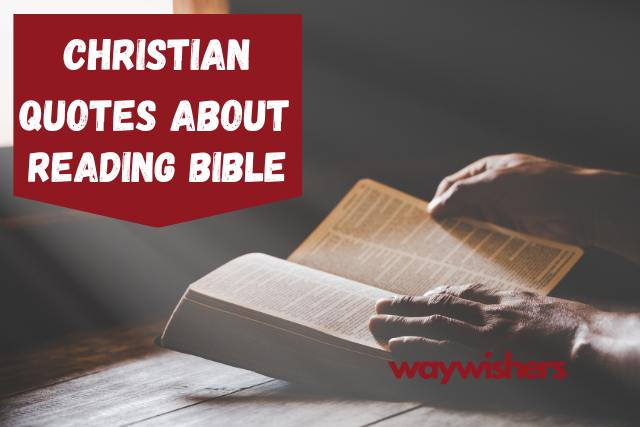120 Christian Quotes About Reading The Bible